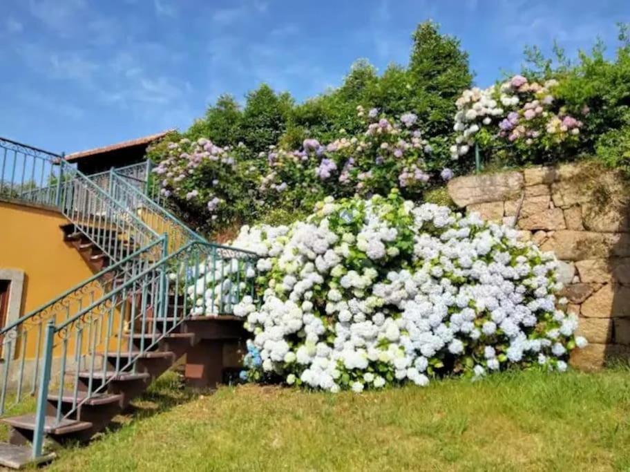 Confort, Fun And Leisure In Douro Rural Space Sande  Zewnętrze zdjęcie