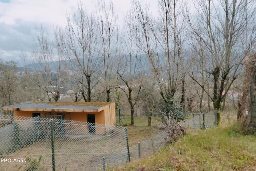 Confort, Fun And Leisure In Douro Rural Space Sande  Zewnętrze zdjęcie